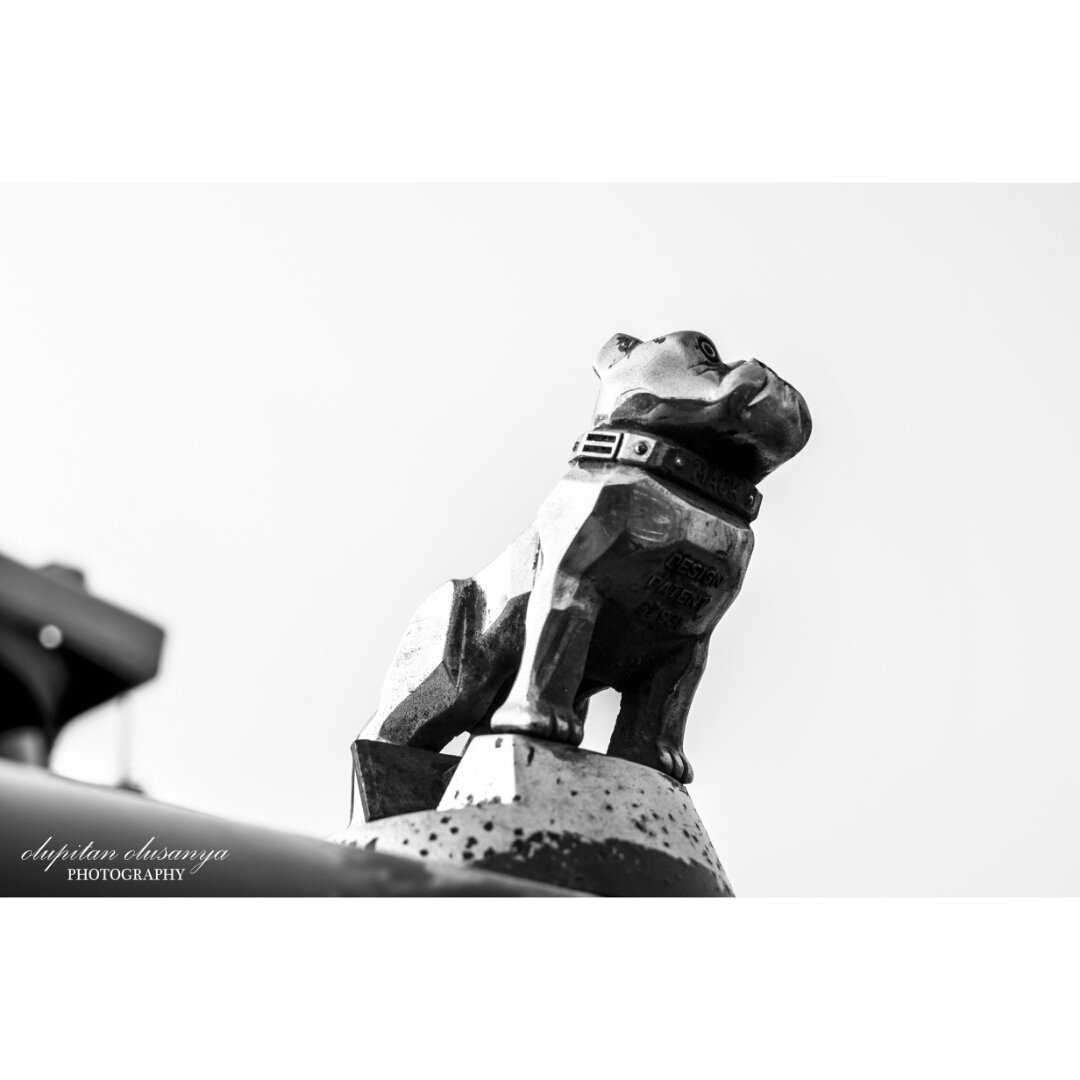 pitandamilola's tweet photo. We where told to shoot portraits of people before I came across this beauty.#smwlagos2016 #smwlagos #instaphotowalk https://t.co/UyNug42QSq