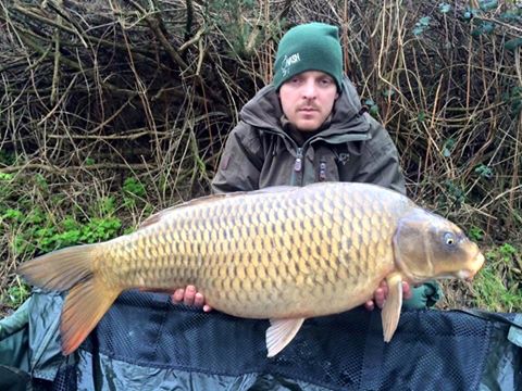 MenardsFishery's tweet photo. One of our gorgeous ghosties at 29lb https://t.co/2OHir29SF2