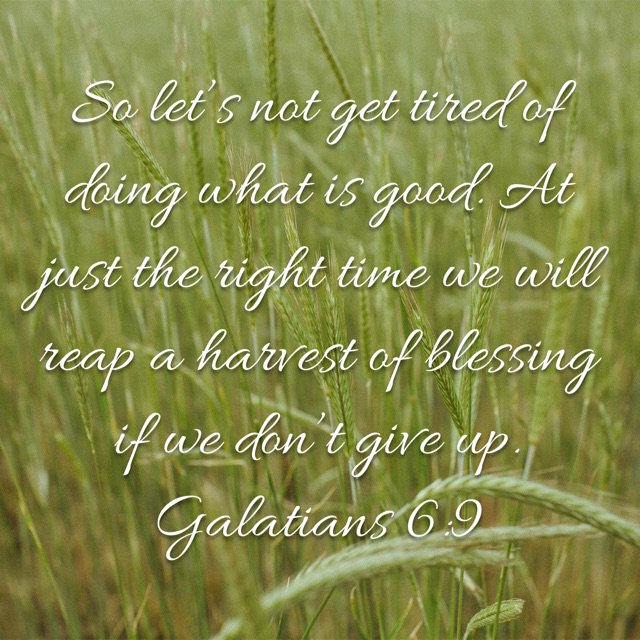 tessaemilyhall's tweet photo. "So let's not become weary of doing what is good..." <3 Galatians 6:9 #scriptures #inspiration #promises https://t.co/WfCQn1oOEo