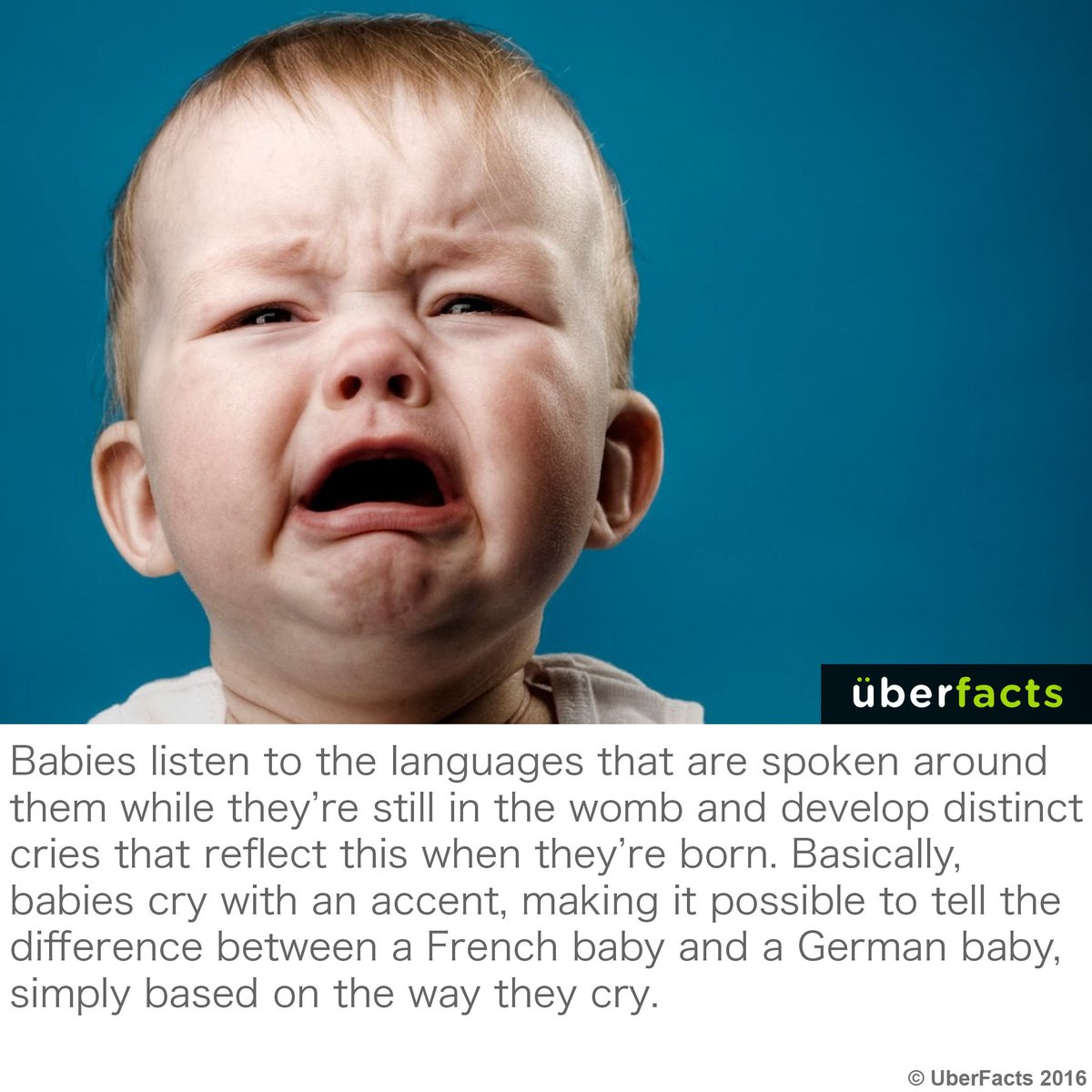 UberFacts's tweet photo. Wow... https://t.co/PfDcshhVsr