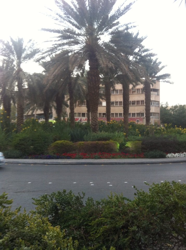 DavidTermate's tweet photo. Green shoots do exist in Saudi Arabia!, both in plant form and business opportunities for #Termate. Great 2nd day. https://t.co/b3M9tXx72w