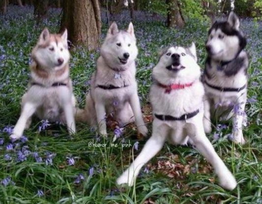 Cuando te están sacando una foto con tus amigos en el festival, pero el DJ pone tu canción favorita 🎶