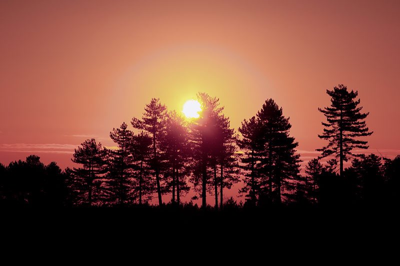 Mandy Grace (@veiledgrace) on Twitter photo 