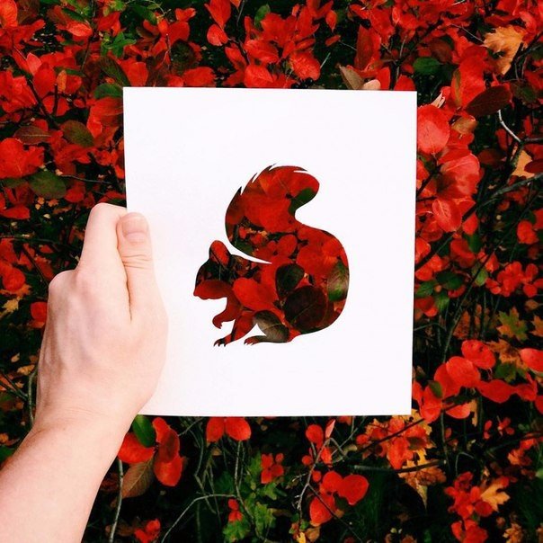 KateLysak's tweet photo. #art #nature https://t.co/O84FMfWCru