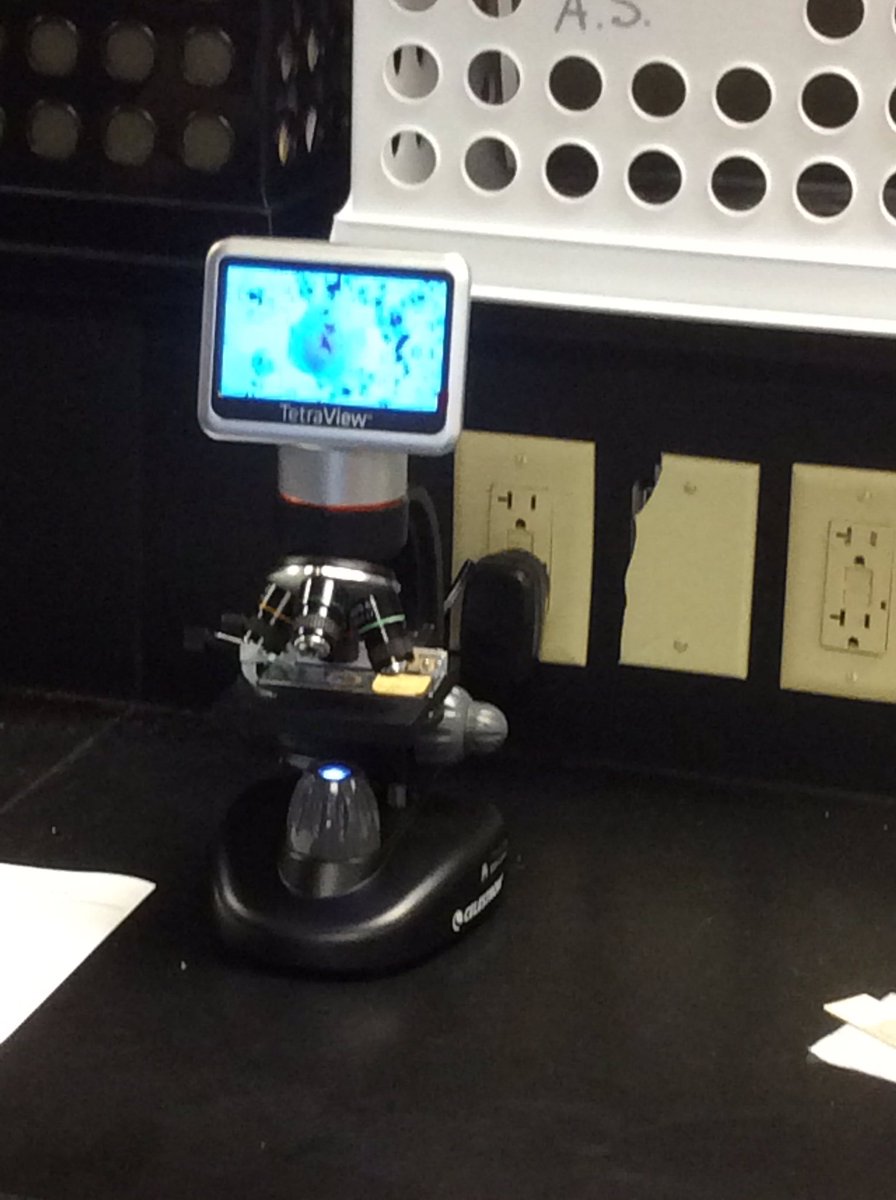JLGreenland's tweet image. Using our #icafelc and #interact2015 microscopes to identify protists in #aquaticscience.