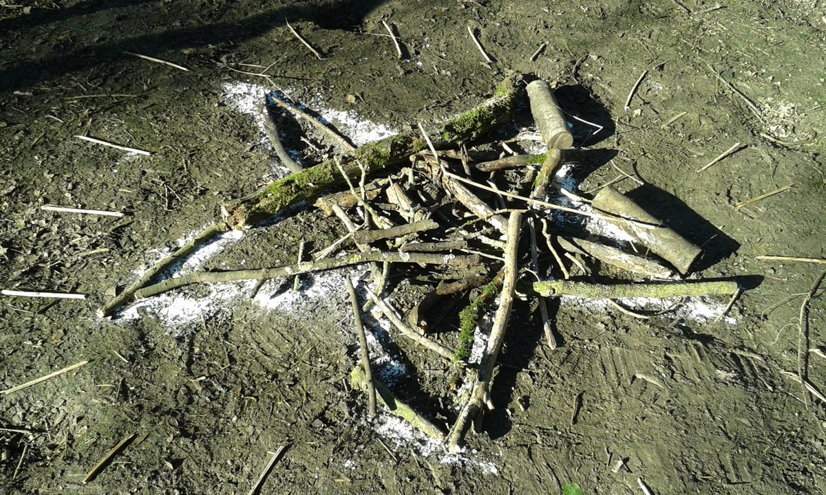 RosalieSims's tweet photo. @wiltswildlife @TadpoleFarmCEPA 'Space' with yrR #stickstars #giantstarart #dottodotconstellations #starpictures https://t.co/qqAsP4W2Hp