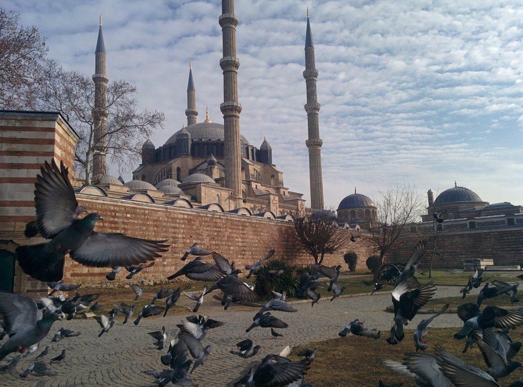 BCTurkeyAbroad's tweet photo. Simply Beautiful.... #istanbulBCabroad #istanbrooklyn #brooklyncollege

#istanbul #istanbu… https://t.co/WZL5s2CXBX https://t.co/vW5540q1Bz