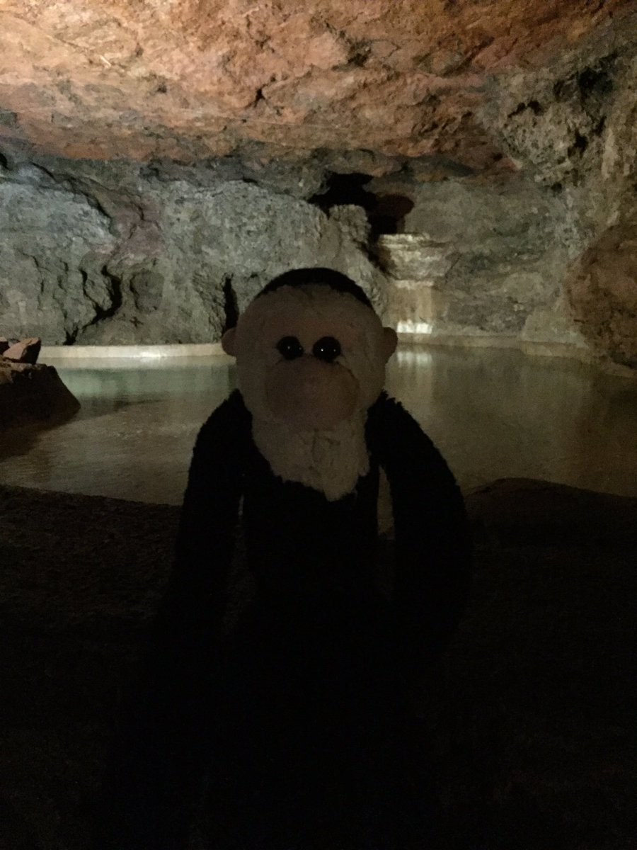 M0nk33y's tweet photo. Great morning spent exploring @ClearwellCaves #MonkeyOnTour #ChallengeMonkey https://t.co/lI7qNM2BVz