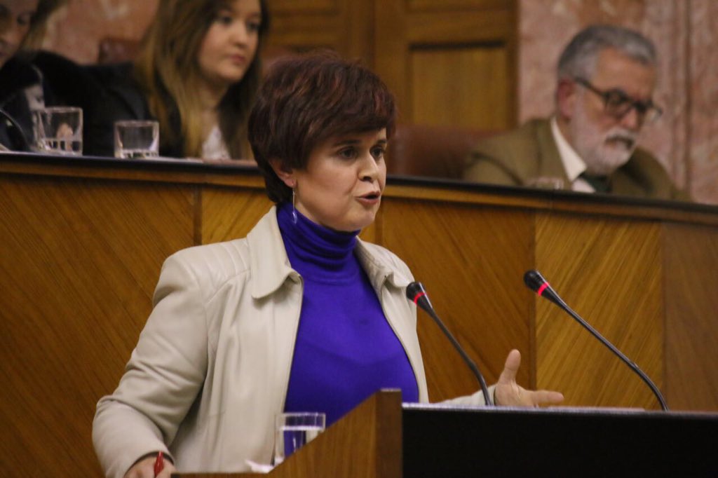 Lucia_Andalucia's tweet photo. Esperanza Gómez presenta la Ley que ha trabajado la Plataforma de Atención Temprana de And. #YoConLaAtencionTemprana https://t.co/4wJK0GQoJL