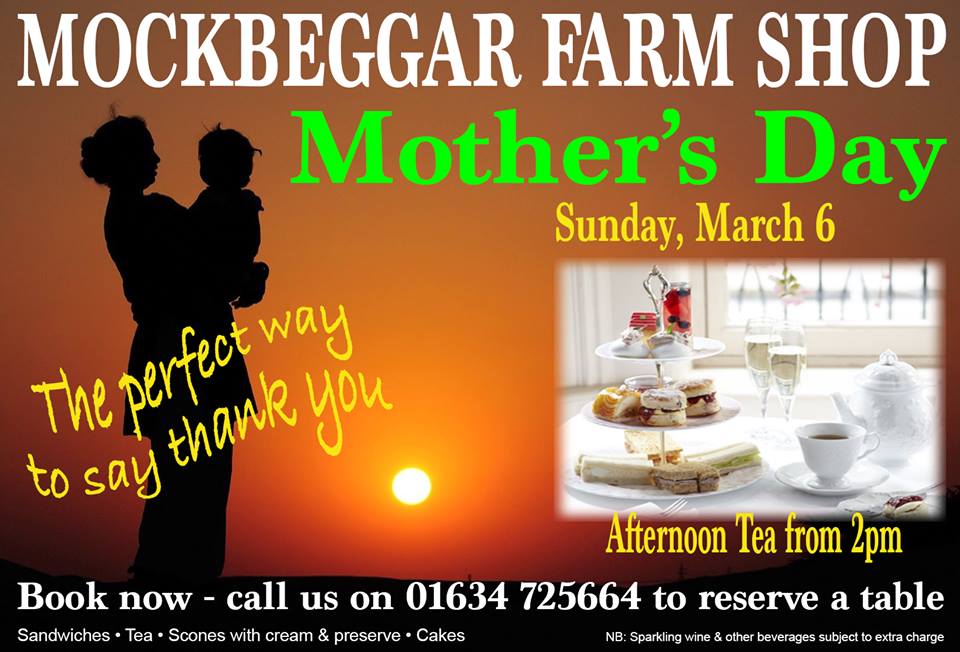 MOTHER'S DAY IS HERE SOON goo.gl/bT6q8l