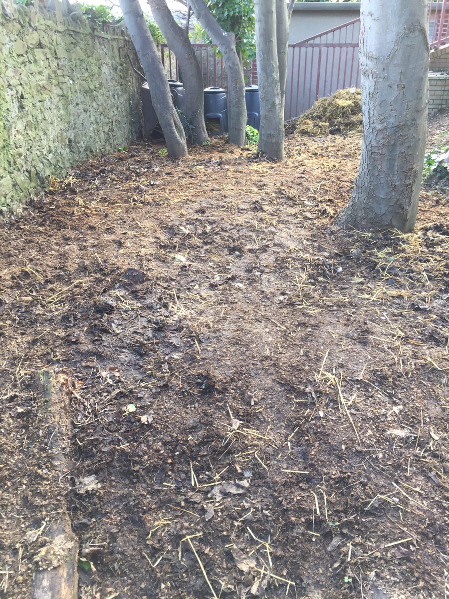 CadwchGymru'nDaclus (@ecosgolion) on Twitter photo RT <a href="/SanSior/">Ysgol San SiƓr</a>: Clychau'r Gog wedi cael eu hau....4000 bluebells seeds planted today in Clwb Eco <a href="/EcoSchoolsWales/">Eco-Schools Wales</a> RT <a href="/SanSior/">Ysgol San SiƓr</a>: Clychau'r Gog wedi cael eu hau....4000 bluebells seeds planted today in Clwb Eco <a href="/EcoSchoolsWales/">Eco-Schools Wales</a>