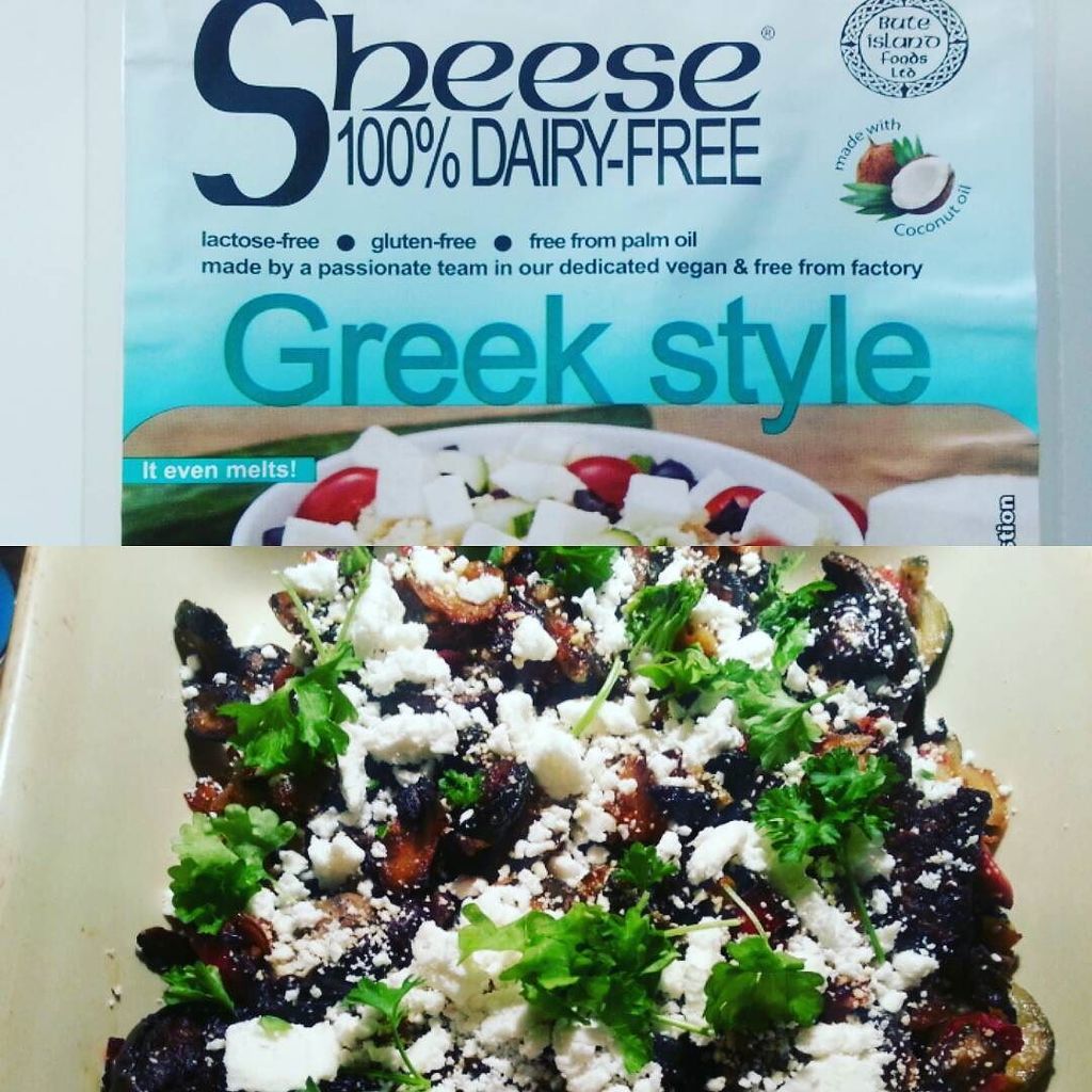 sheese review