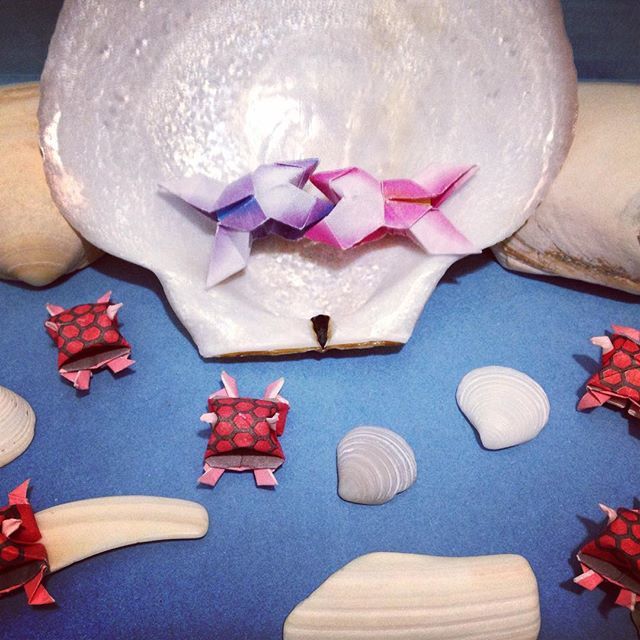 seaturtlegifts's tweet photo. #origami #origamiart #origamifish #origamiturtle #3dart #art #3dorigami #design #creative … https://t.co/vWbfQFaQl8 https://t.co/kGYgoFH5az