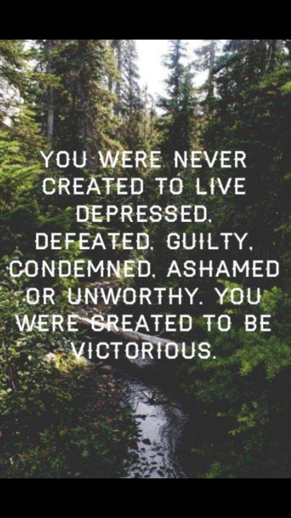 kimmyschrader's tweet photo. https://t.co/FjttKiSPkD