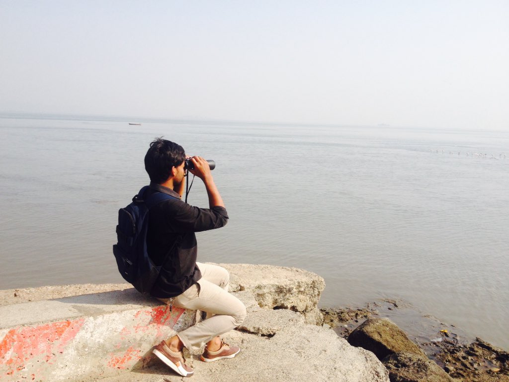 Saddamk16's tweet photo. Sewree @Birdwatch.. https://t.co/tYUmwTCZes