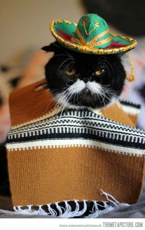 juliagrahamco's tweet image. Writing about sunscreen while it&apos;s snowing. Feel like I should don a sombrero to get in the mood #CreativeCopy