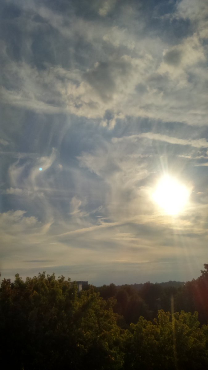 redding_red's tweet photo. Shocking images of the sky 
Shocking that sheep are used to it now 
#OpChemtrails https://t.co/lpSwxBNL3g