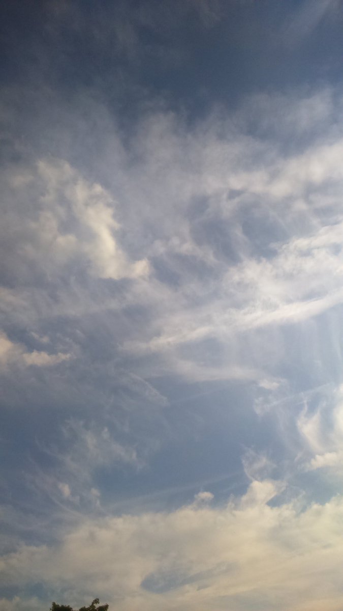 redding_red's tweet photo. Shocking images of the sky 
Shocking that sheep are used to it now 
#OpChemtrails https://t.co/lpSwxBNL3g