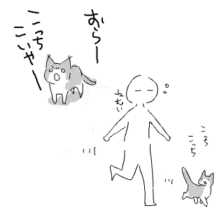 はーねこ 