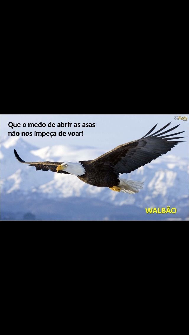 Wamos retwitarrrrrrr p pontuarrrr