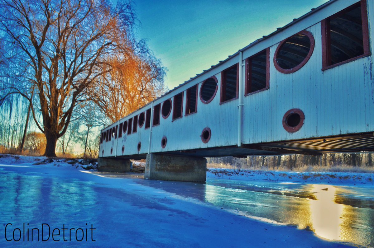 Colin McConnell tweet media