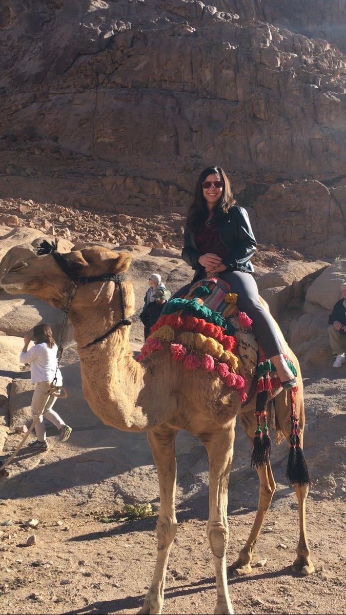 Camel rider! #Egypt