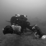 Photo by In Deep Dive Centre (@InDeepPlymouth)