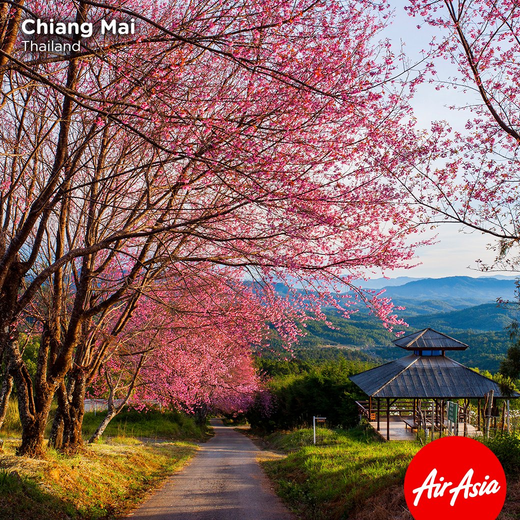airasia's tweet photo. Kadangkalanya, berdua bersama si rusuk kiri lebih bermakna.
#flywithAirAsia

Flights: https://t.co/gGXoP5Dik5 https://t.co/j8bo9Xxf56