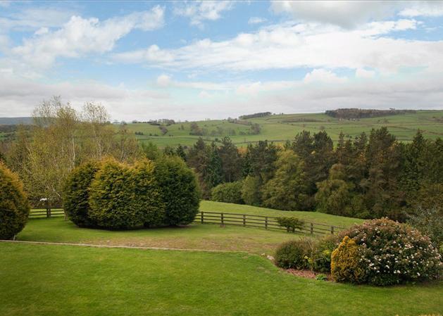 LentinSmith tweet media