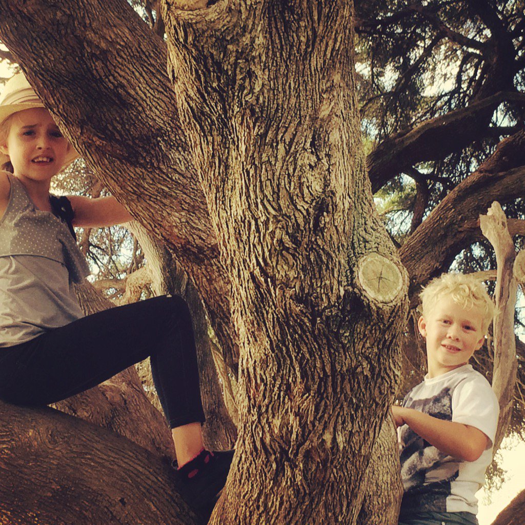 DiWilcox's tweet photo. Allow your child to take small risks as this is their way of learning to navigate the world. https://t.co/HjnVslpR0Z