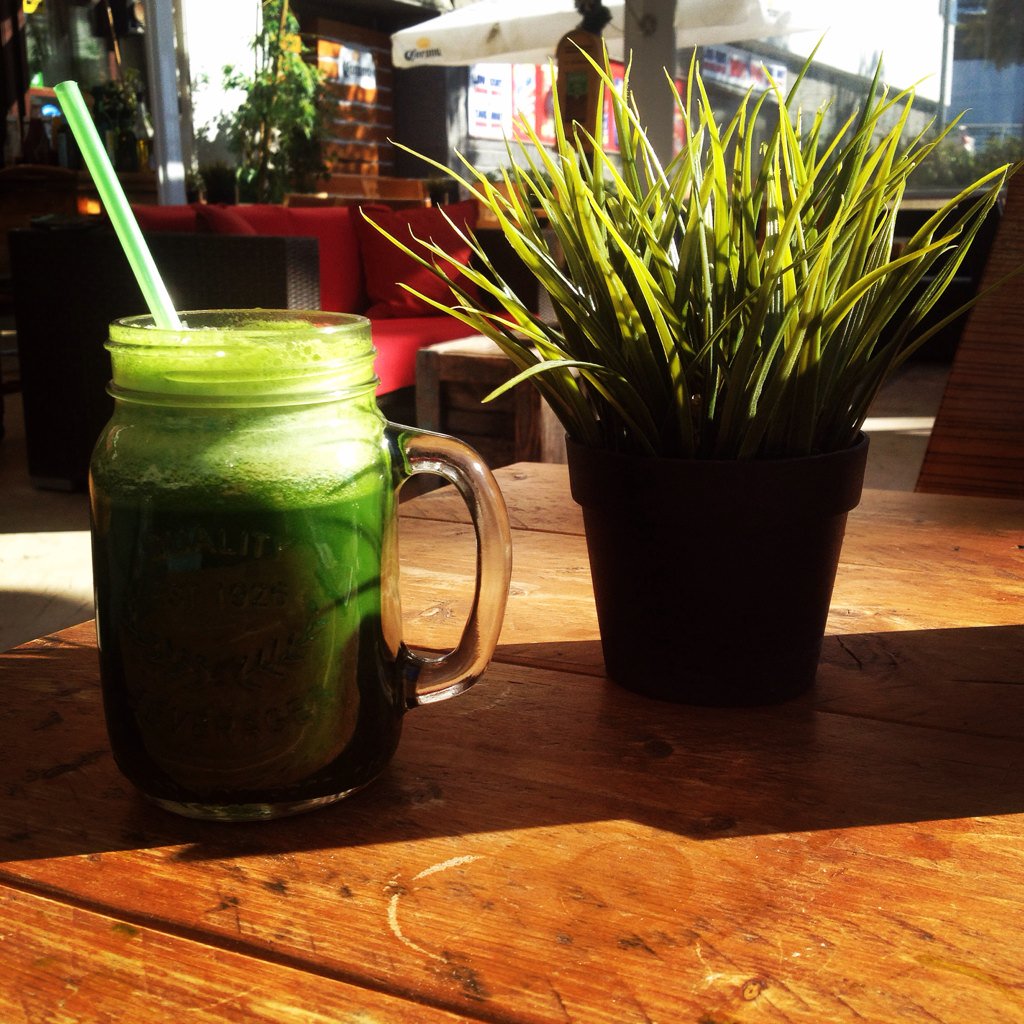 GRASSifyM's tweet photo. Ready to start the day! @GRASSifyM #greenjuice #healthyliving @TerraSanaGroup https://t.co/wjUz8DcLpO