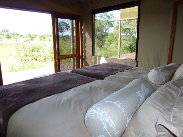 Rawbotswana's tweet photo. Glamping in style #adventure #luxurysafaris #ridingsafaris #walkingsafaris #botswana @botswana_tourism https://t.co/mYi89rkfdk