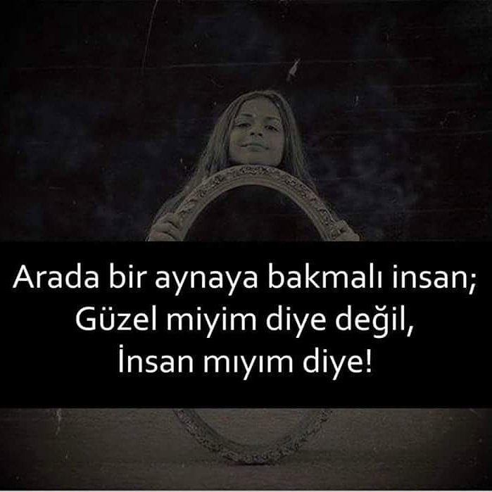 haydin tweet media
