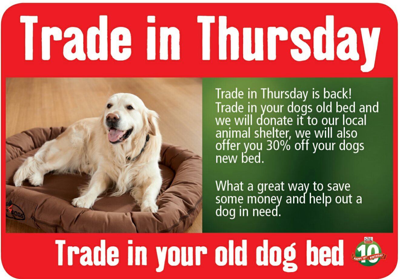 Can You Donate Old Dog Beds