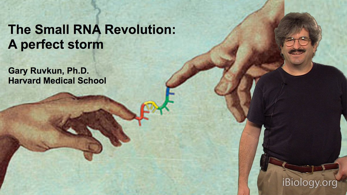 ZAGENOteam's tweet photo. Do you know how the Small RNA Revolution started? Find out here: https://t.co/dIAHEHAv9h https://t.co/n2qfhRHUuK