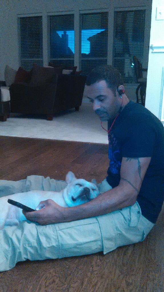 helpfindzeus's tweet photo. Reunions quickly take a lot out of u when you're a Frenchie! ZEUS' back 2 snoozing on his dad's lap where he belongs https://t.co/uEo2EWH05C