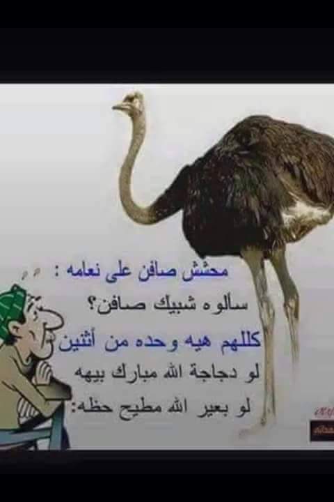 aa476044's tweet photo. @iron_woman_q8 https://t.co/wHdiDy0Xk3