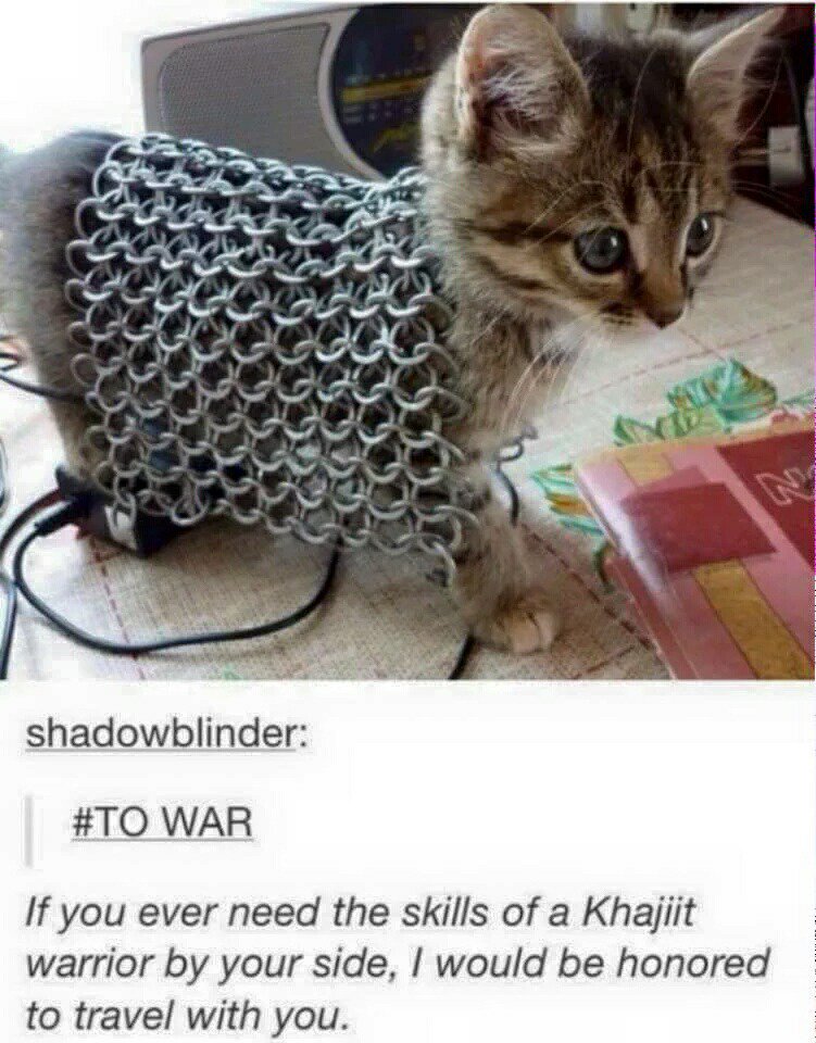 Come here my mighty companion we shall march to taco bell