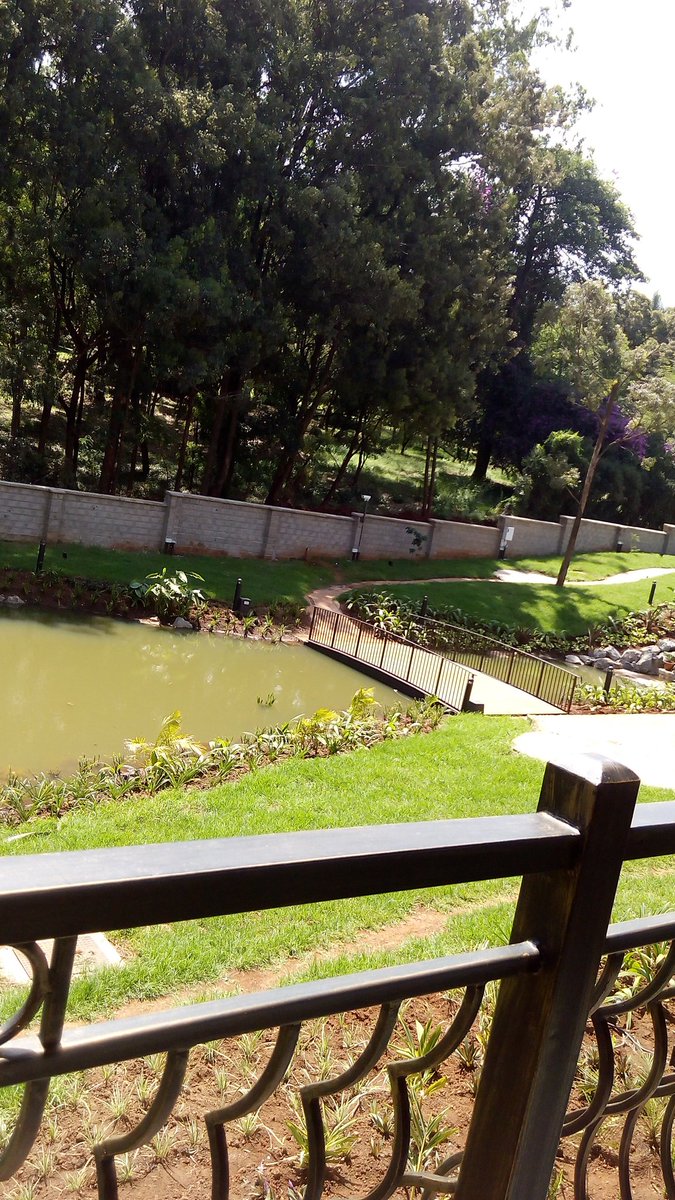 TheHubKaren's tweet photo. #InsideTheHub
The calm ambience is just what you need. https://t.co/79bOXOTQM9