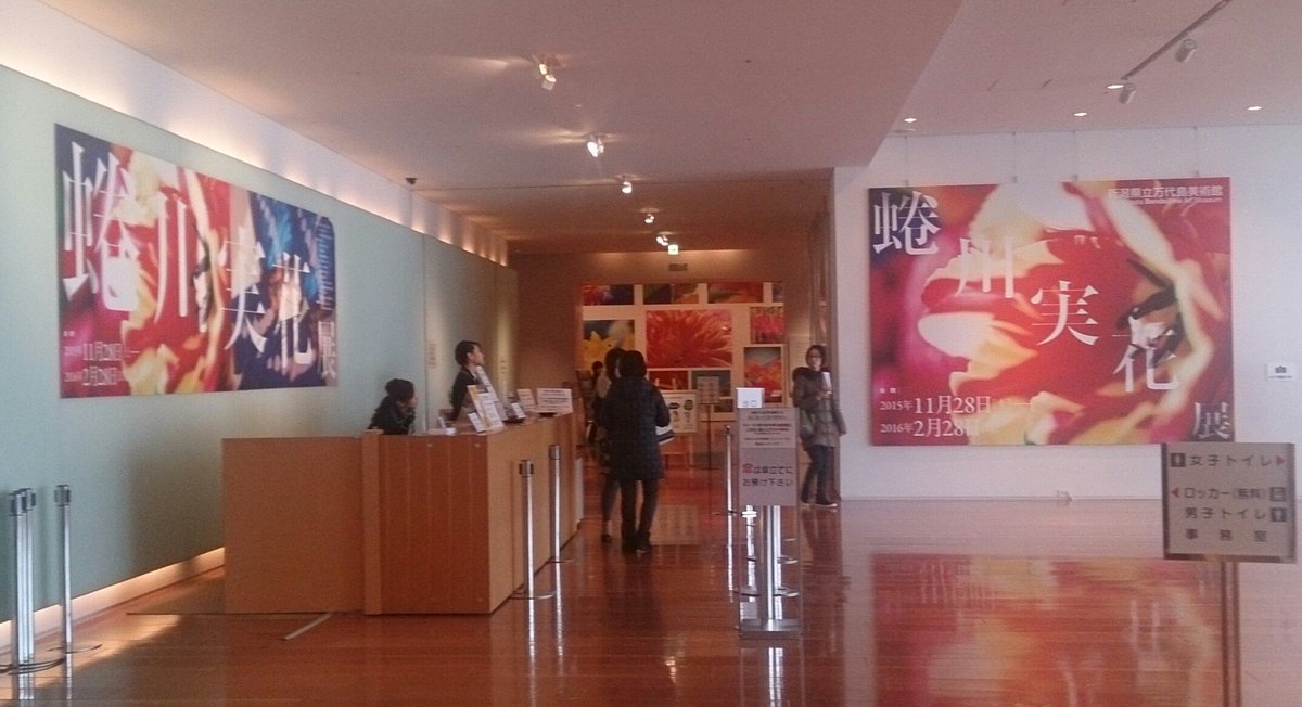 新潟県立万代島美術館 Twitter Search