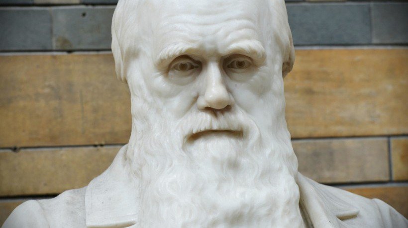 elearnindustry's tweet photo. Knowledge Mining: What Can Darwin Tell Us About Instructional Design? https://t.co/NkGg8mwBPi #InstructionalDesign https://t.co/8zYVyxu5XP