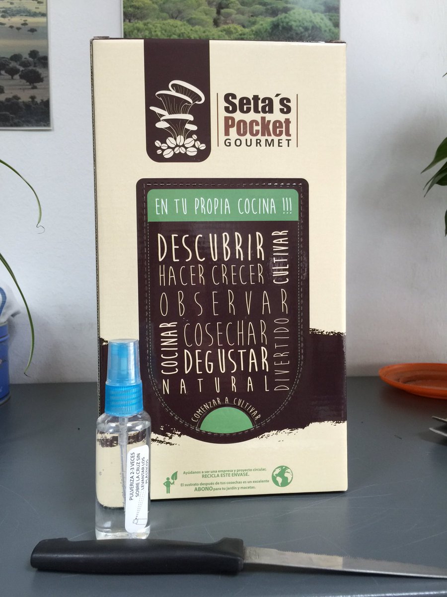 chincheto77's tweet photo. Día 1 - @setaspocket abriendo la caja y comenzando el proceso https://t.co/LKcVsSoGv8
