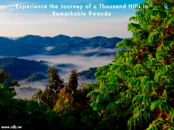 RDBrwanda's tweet photo. #SeeRwanda #RemarkableRwanda #VisitAfrica https://t.co/UY0OSjClRZ