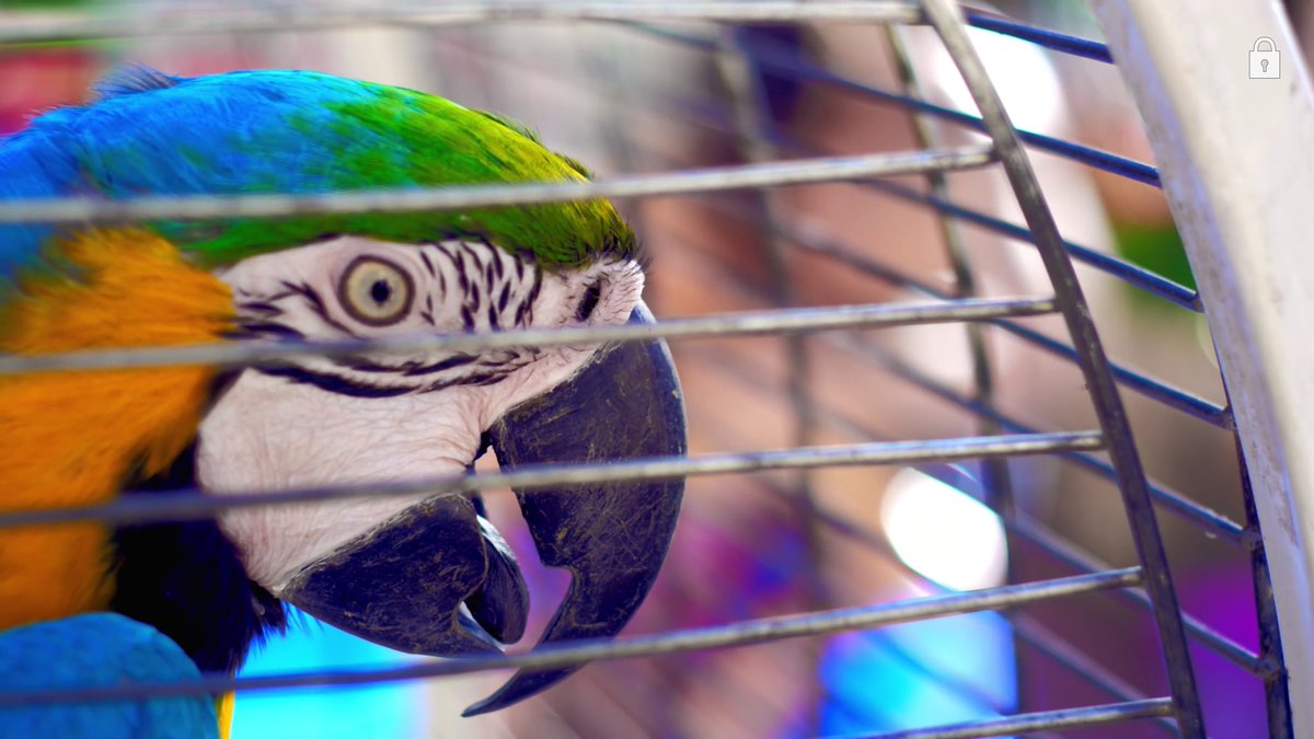 arkanted's tweet image. 