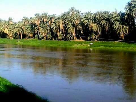 صورة من شمال السودان -
اليوم وقفة احتجاجية رفضا لبناء السدود (كجبار -دال - الشريك) واعتقالات بالجملة من قبل الشرطة