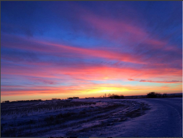 HEATrunning's tweet photo. Wishing we were running with this sunrise like @runfoxxirun! #happyrunner #unlockyouranimal #runner #runlikeagirl https://t.co/QjamFib7vl