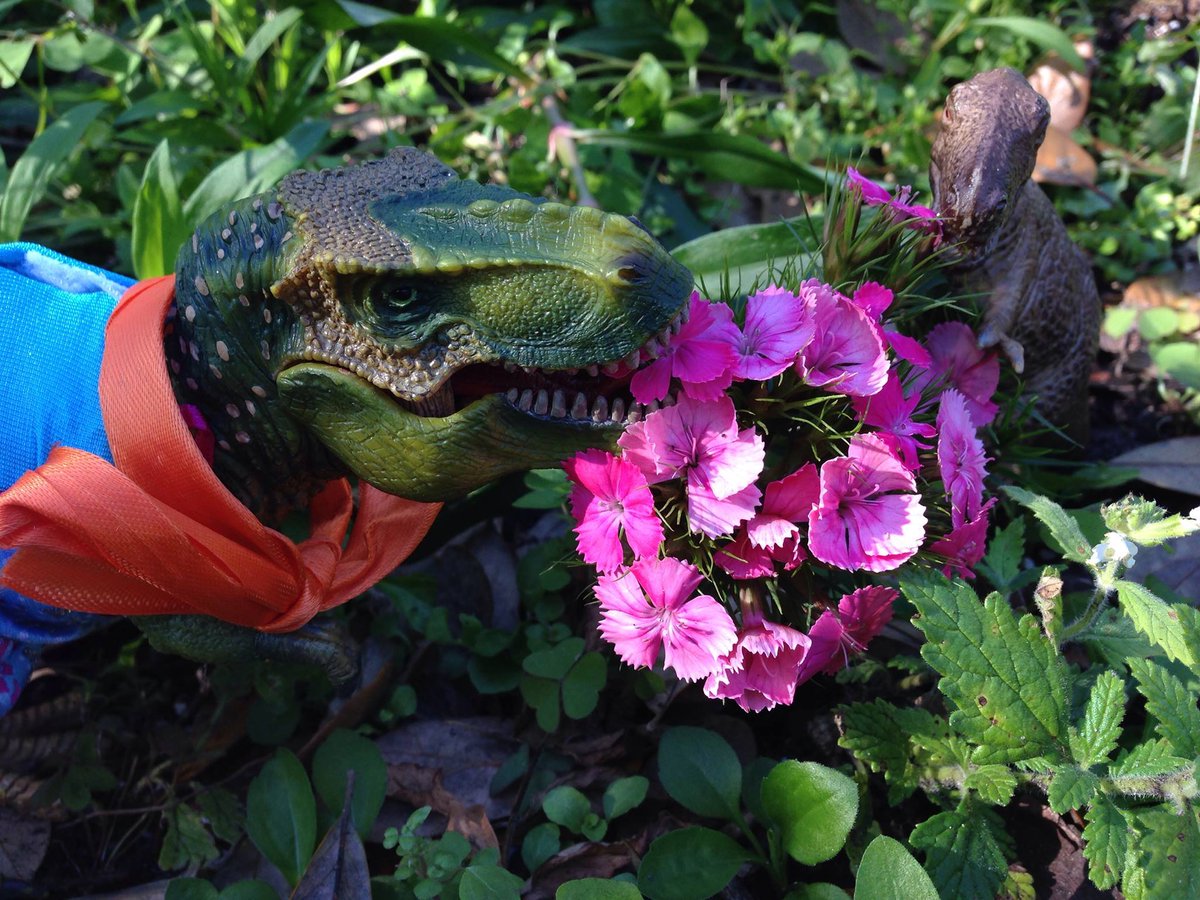 Mmm tasty. T.Roxy checking out the flowers at <a href="/LeuGardens/">Harry P. Leu Gardens</a>