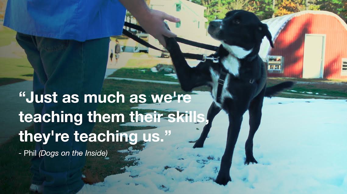 Dogs on the Inside tweet media