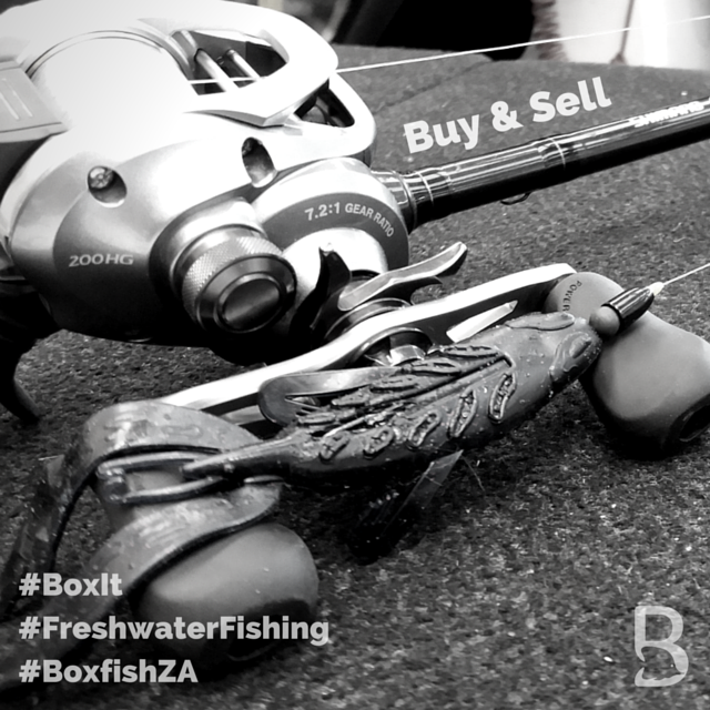 BoxfishZA tweet picture