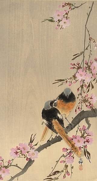 SiegfriedHaWo's tweet photo. @brigitte2300
Wünsche einen angenehmen Abend, Brigitte 👋

Ohara Koson (1877-1945) https://t.co/xLvzvX725m